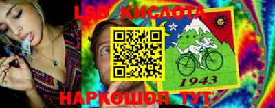 сатива Гай