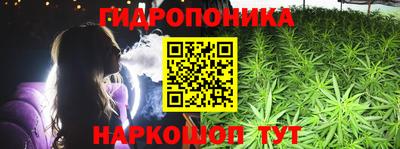 сатива Гай