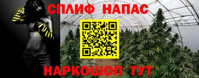 марихуана Гатчина