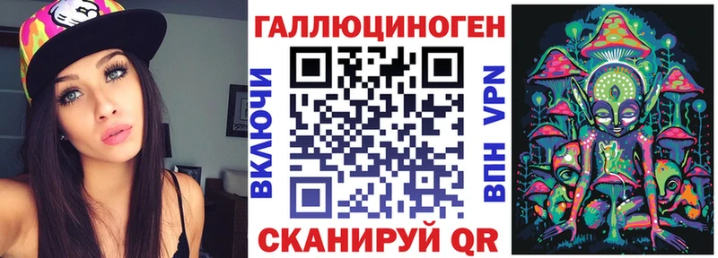 Псилоцибиновые грибы Psilocybe  блэк спрут tor  Алексеевка 