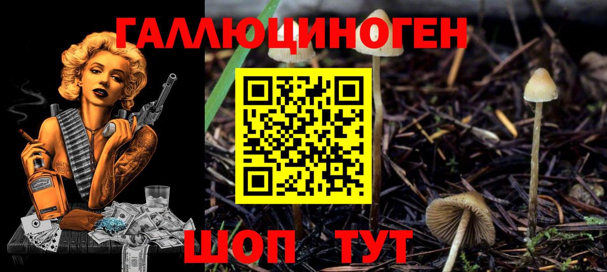 Галлюциногенные грибы мицелий  Вход с VPN  наркошоп  Псилоцибиновые грибы мухоморы  Алексеевка 