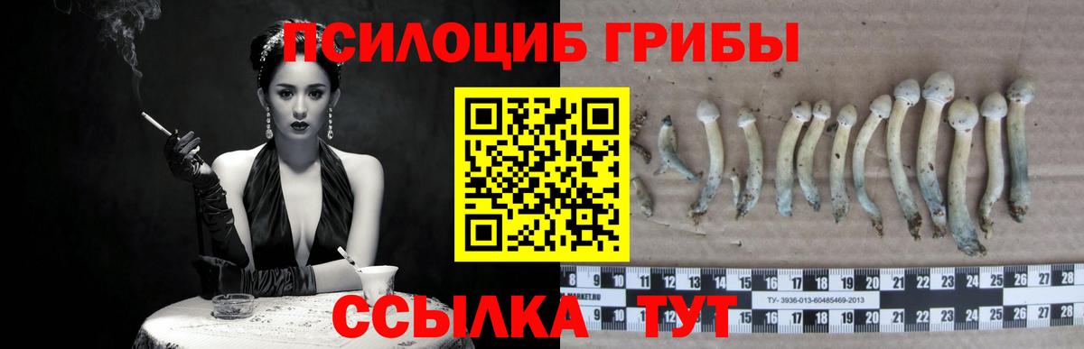 Галлюциногенные грибы MAGIC MUSHROOMS  Псилоцибиновые грибы прущие грибы  Алексеевка  Вход с VPN 