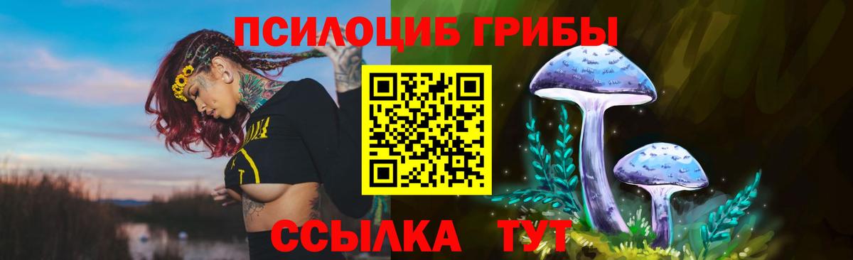 Галлюциногенные грибы прущие грибы Алексеевка